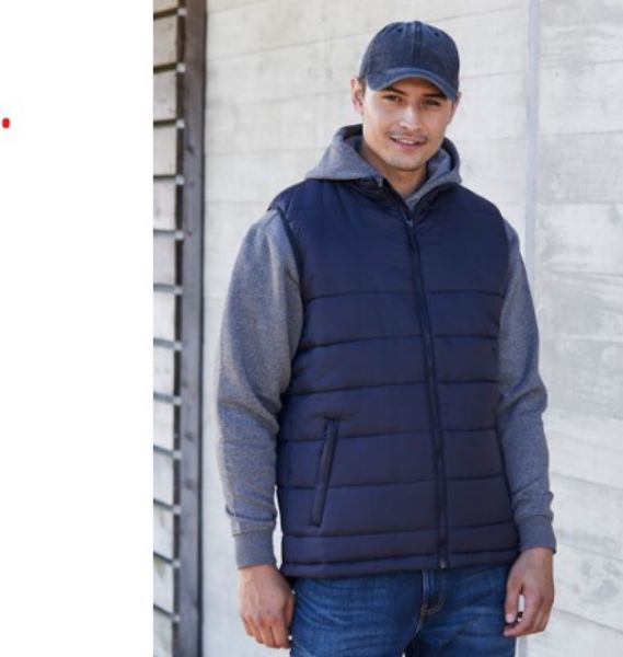 Picture of MENS ALPINE VEST